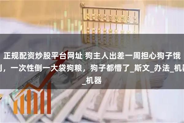 正规配资炒股平台网址 狗主人出差一周担心狗子饿到,一次性倒一大袋狗粮,狗子都懵了_斯文_办法_机器